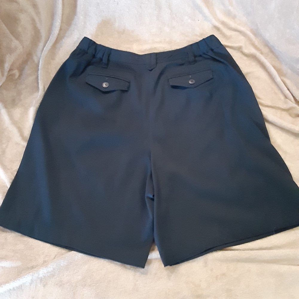 Talbots Shorts - Picture 3 of 5